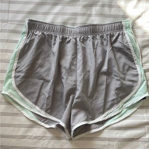 Nike DriFit Shorts Size Large